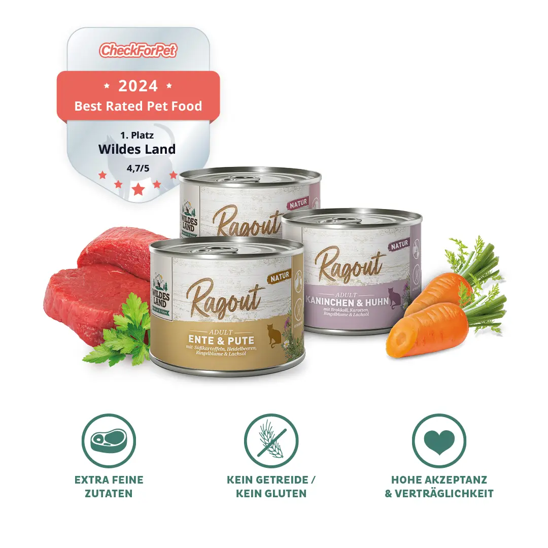 Dosen Katzenfutter Ragout von Wildes Land in verschiedenen Sorten, begleitet von frischen Zutaten wie Fleisch und Kräutern. Katzenfutter Ragout ohne Getreide, extra fein und mit hoher Akzeptanz.